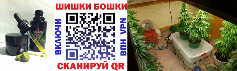 Canna-Cookies конопля  купить  цена  Инта 