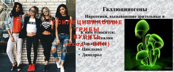 прущие крисы Алексин
