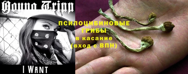 прущая мука Алзамай