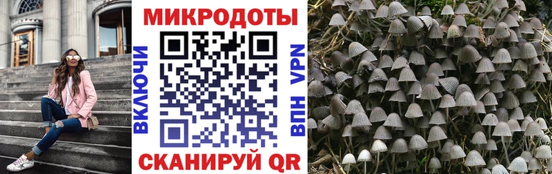 Галлюциногенные грибы Psilocybe  Инта 